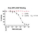 Kras (WT)/cRAF/CYPA/Inhibitor Assay Kit 